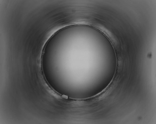 X0000102531236200808081444