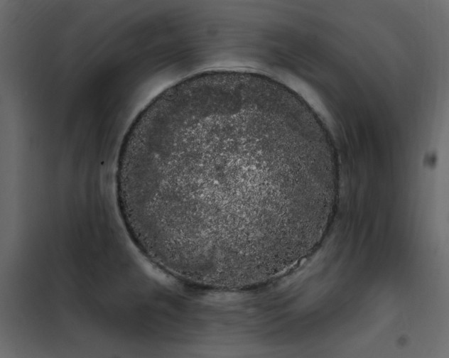 X0000102531237200808081444
