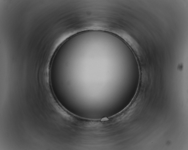 X0000102531238200808081444