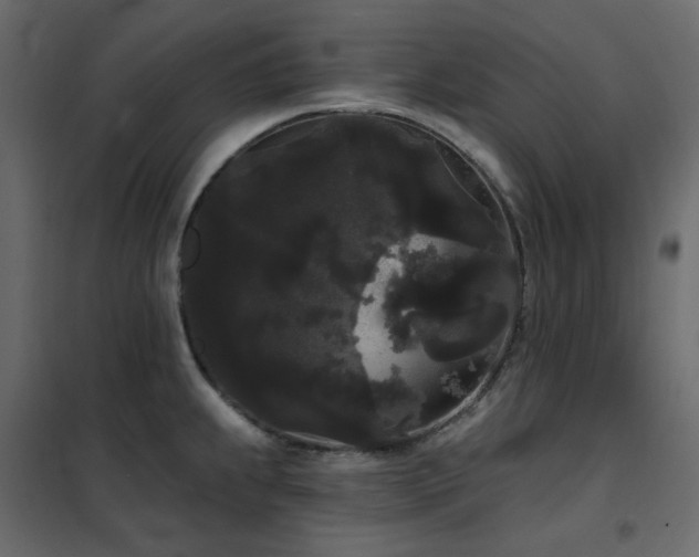 X0000102531239200808081444