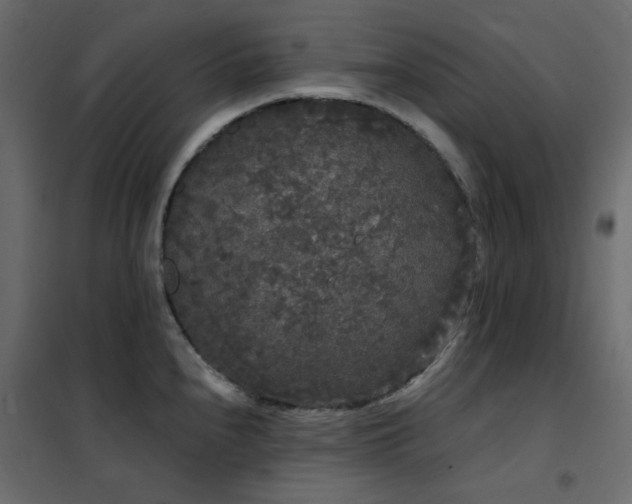 X0000102531240200808081444