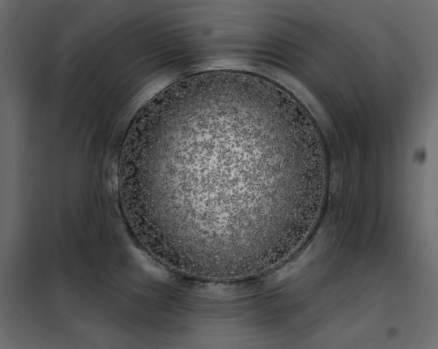 X0000102531241200808081444