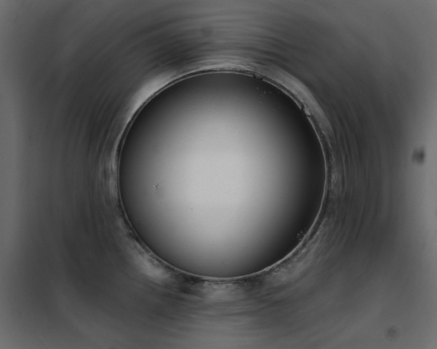 X0000102531242200808081444