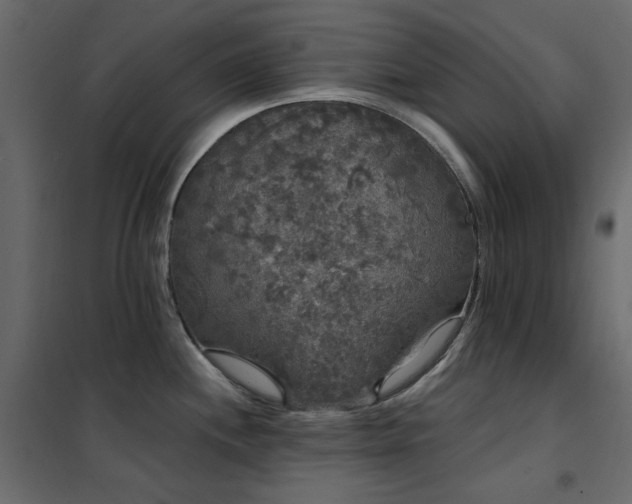 X0000102531244200808081444