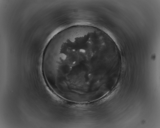 X0000102531245200808081444