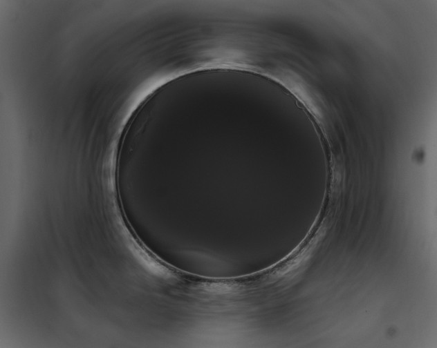 X0000102531246200808081444