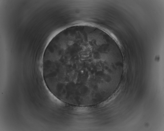X0000102531247200808081444