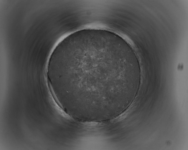 X0000102531248200808081444