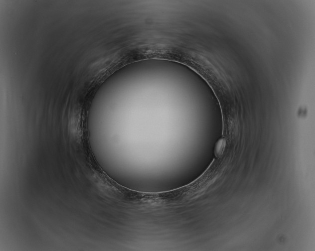 X0000102531250200808081443