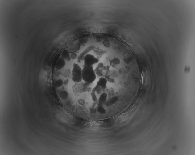 X0000102531251200808081443