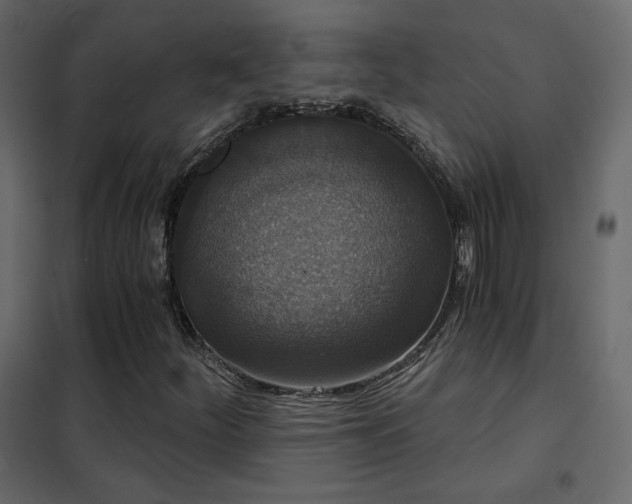 X0000102531252200808081443