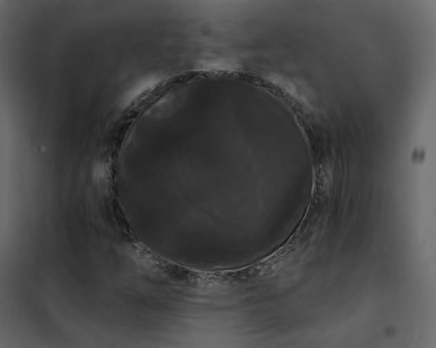 X0000102531254200808081443