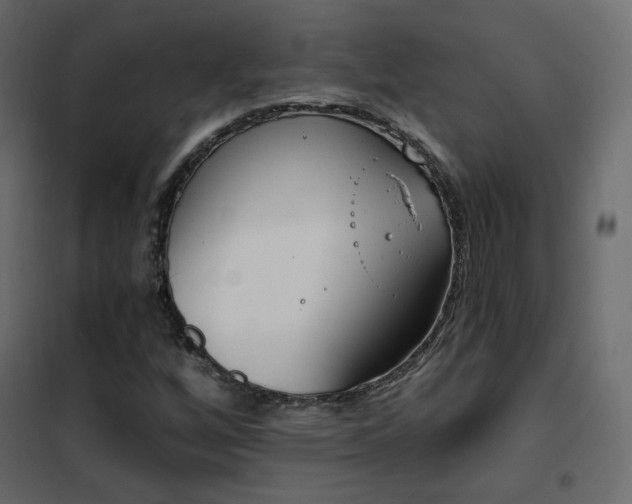 X0000102531256200808081443