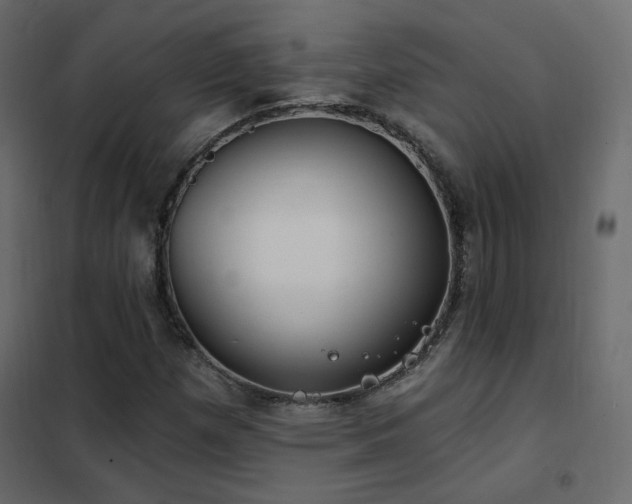 X0000102531257200808081443