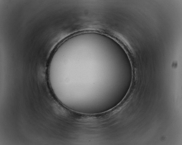 X0000102531260200808081443