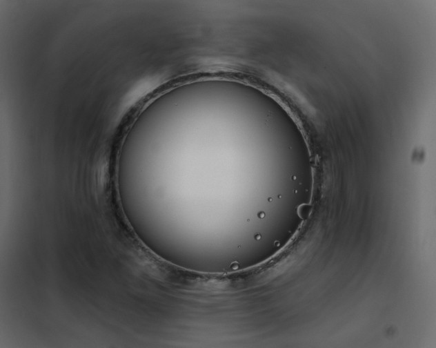 X0000102531261200808081443
