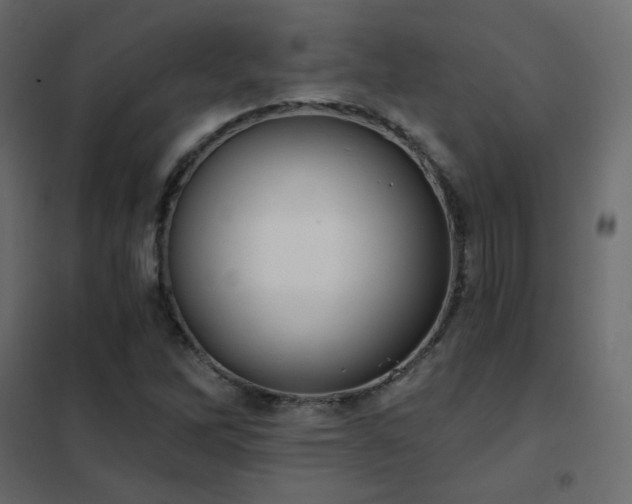 X0000102531262200808081443