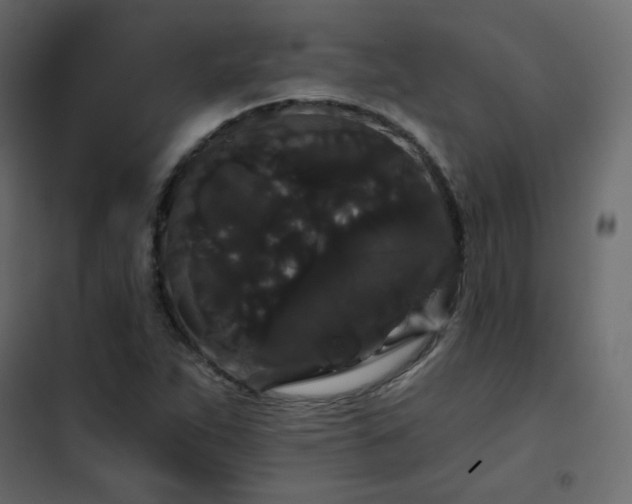 X0000102531263200808081443