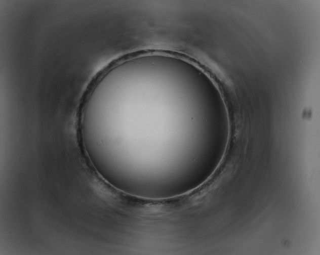 X0000102531264200808081443