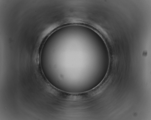 X0000102531269200808081443