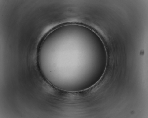 X0000102531270200808081443