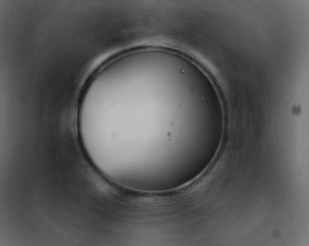 X0000102531272200808081443