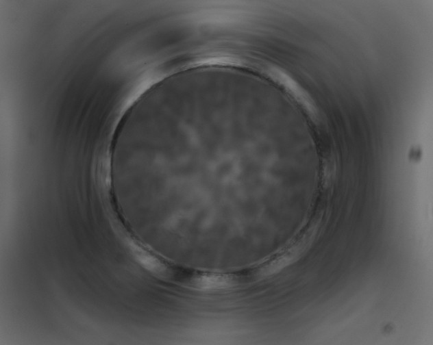 X0000102531274200808081443