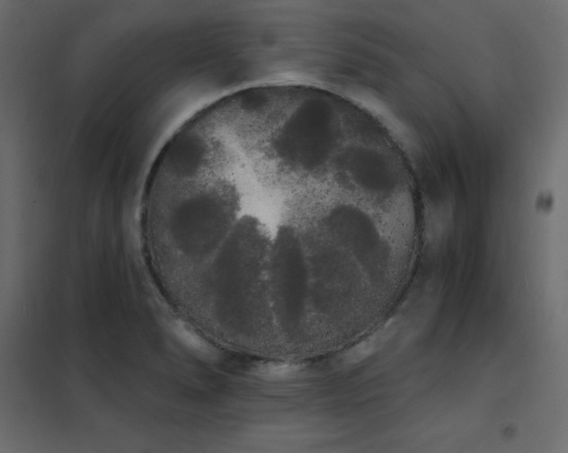 X0000102531278200808081443