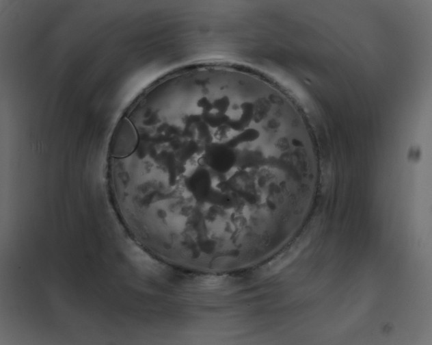 X0000102531279200808081443