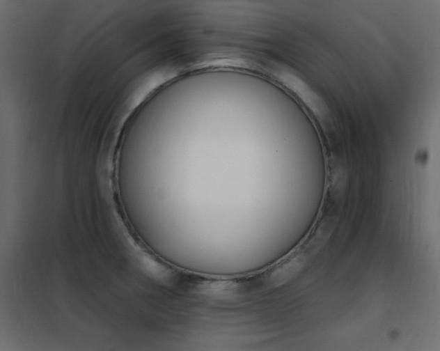 X0000102531282200808081442