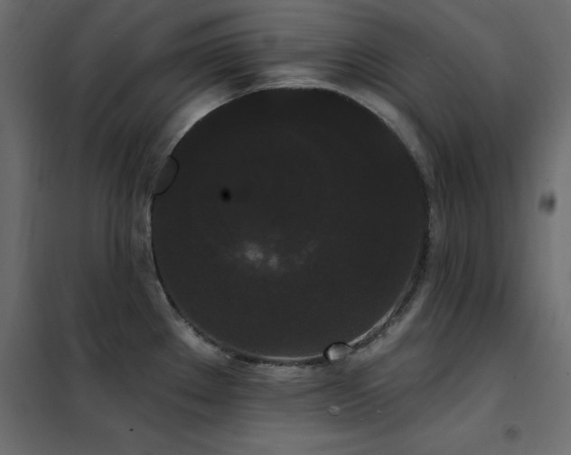 X0000102531289200808081442