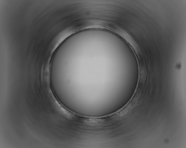 X0000102531290200808081442