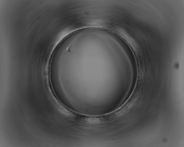 X0000102531291200808081442