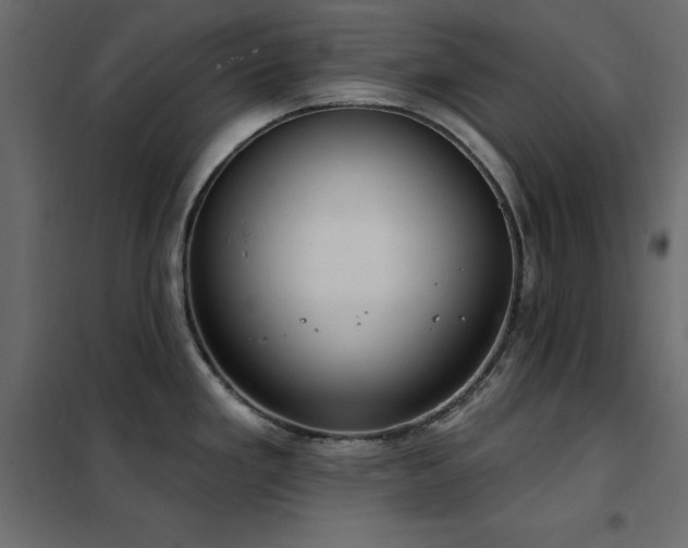 X0000102531293200808081442