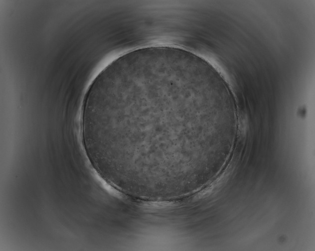 X0000102531294200808081442