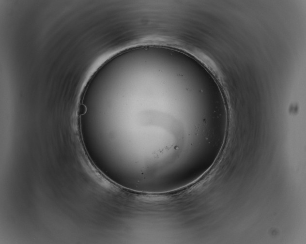 X0000102531296200808081442