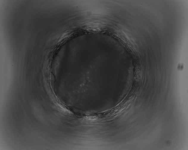 X0000102531297200808081441