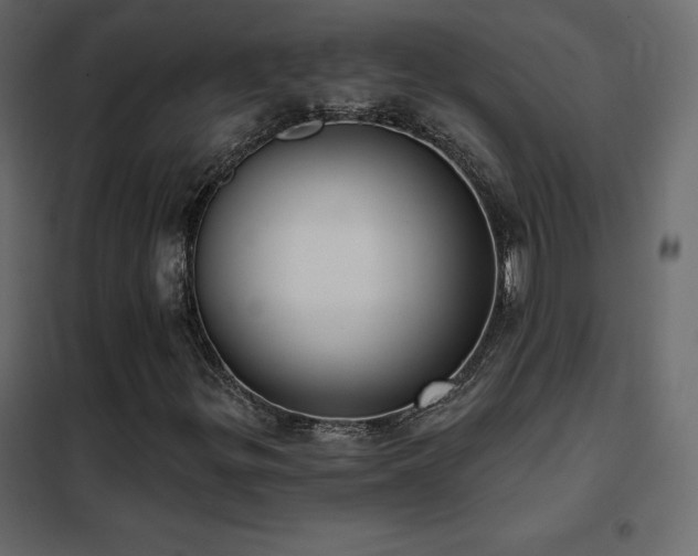X0000102531299200808081441