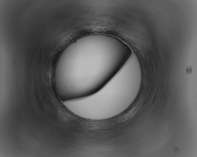 X0000102531300200808081441