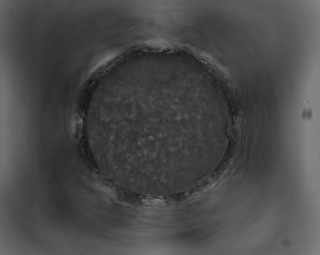 X0000102531302200808081441