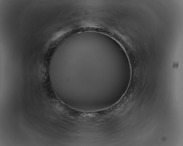 X0000102531303200808081441