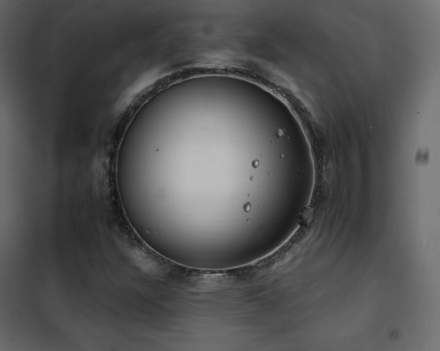 X0000102531304200808081441