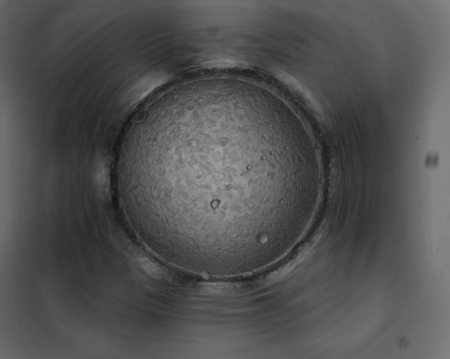 X0000102531305200808081442