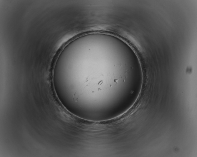 X0000102531308200808081442