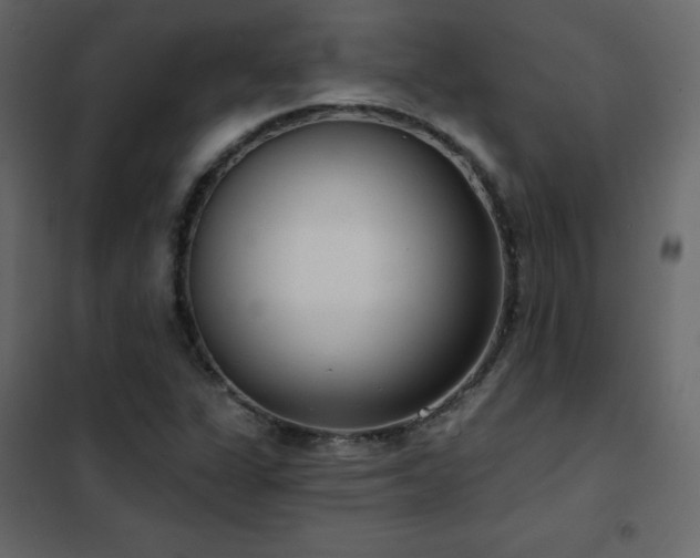 X0000102531311200808081442