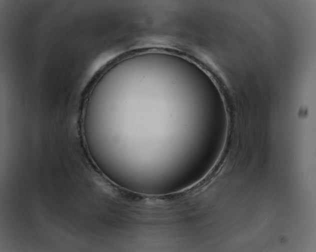 X0000102531312200808081442