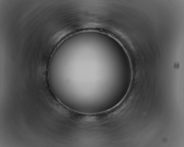 X0000102531313200808081442