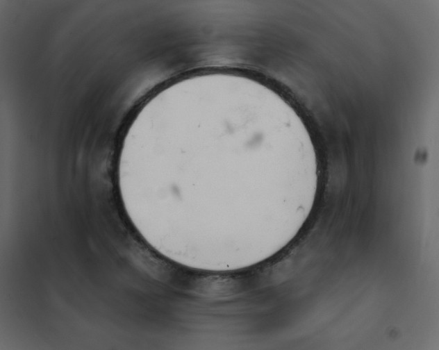 X0000102531314200808081442