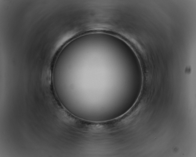 X0000102531317200808081442