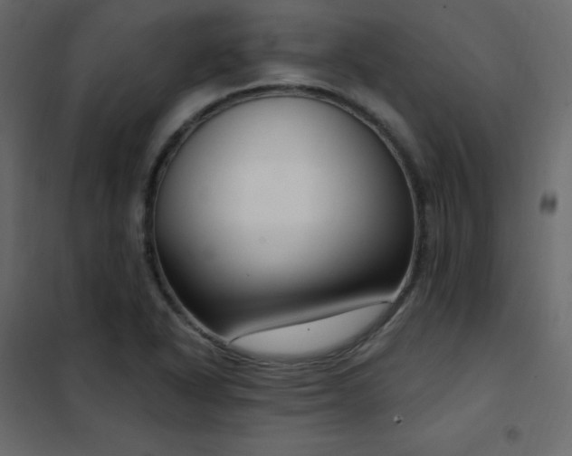 X0000102531318200808081442